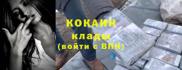 соль ск Данков