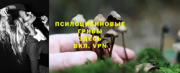 спиды Дедовск