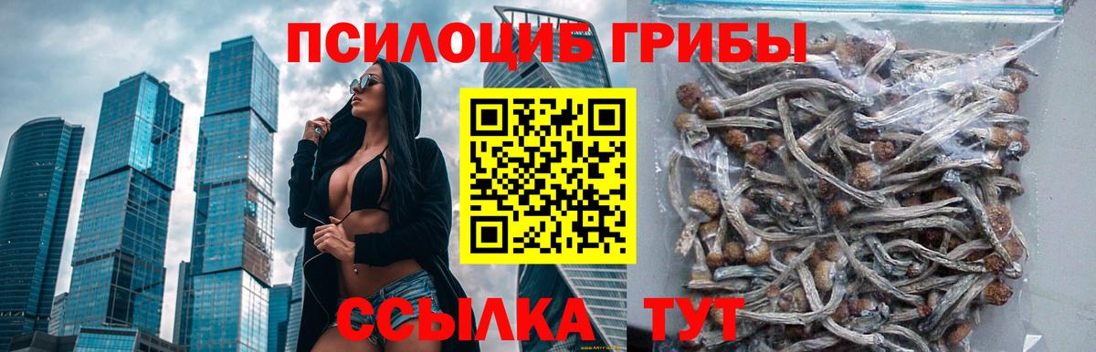 Кимры  Псилоцибиновые грибы мухоморы  Вход с VPN 